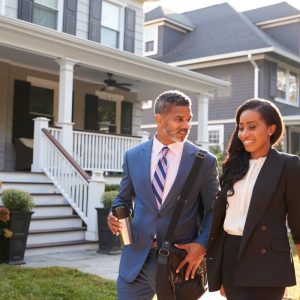 Comfortable villa green